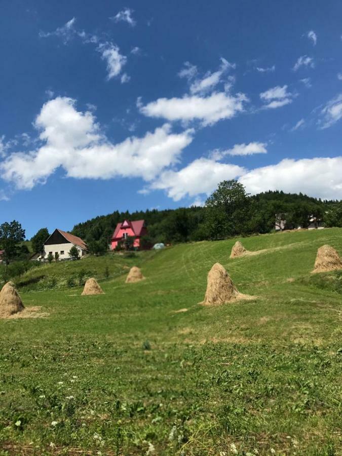 Malinowy Domek Mlynczyska ภายนอก รูปภาพ